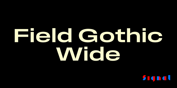 Card displaying Field Gothic Wide typeface in various styles
