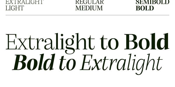 Card displaying Alga Variable typeface in various styles