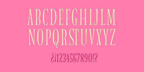 Card displaying MVB Magnolia typeface in various styles
