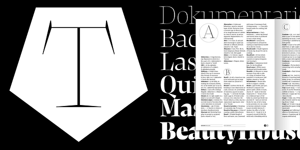 Card displaying NewsSerif Variable typeface in various styles