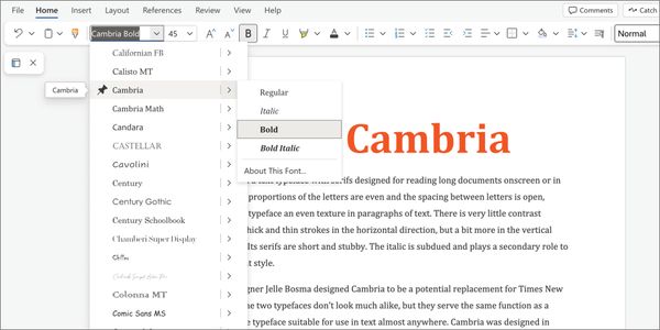 Card displaying Cambria typeface in various styles