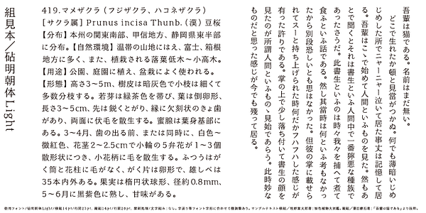 Card displaying Kinuta Mincho StdN typeface in various styles