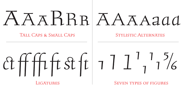 Card displaying Stern Pro typeface in various styles