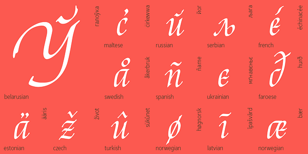 Card displaying Reed typeface in various styles