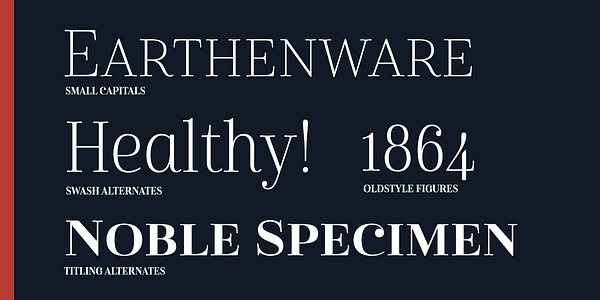 Card displaying Cabrito Didone typeface in various styles