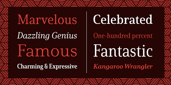 Card displaying Solitas Serif typeface in various styles