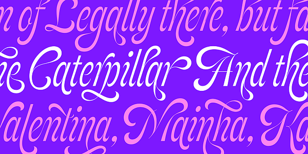 Card displaying Feline typeface in various styles