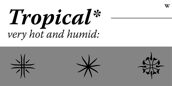 Card displaying Warnock typeface in various styles