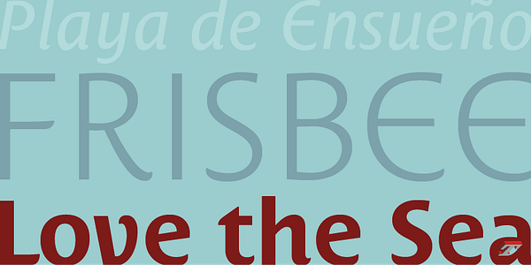 Card displaying Costa typeface in various styles