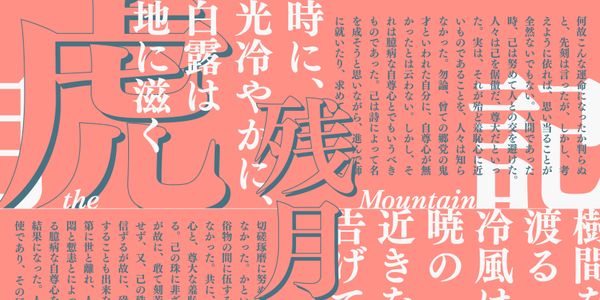 Card displaying FOT-UDMincho Pr6N typeface in various styles