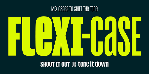 Card displaying Reel typeface in various styles