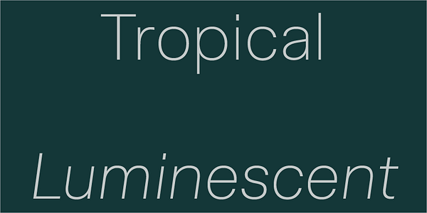 Card displaying Abacaxi Latin Variable typeface in various styles