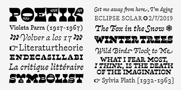 Card displaying Violeta typeface in various styles