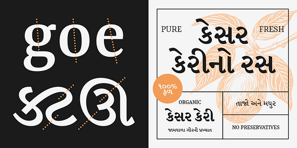Card displaying Rasa typeface in various styles