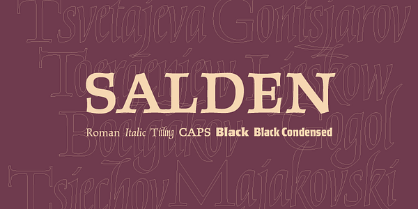 Card displaying Salden typeface in various styles