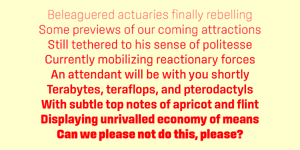 Card displaying Sinter typeface in various styles