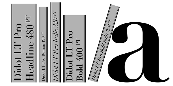 Card displaying Linotype Didot typeface in various styles