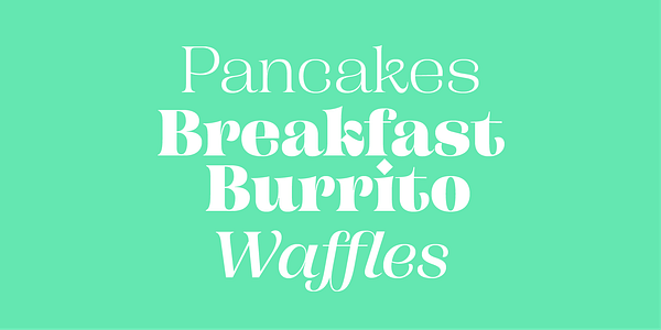 Card displaying Campaign Serif typeface in various styles