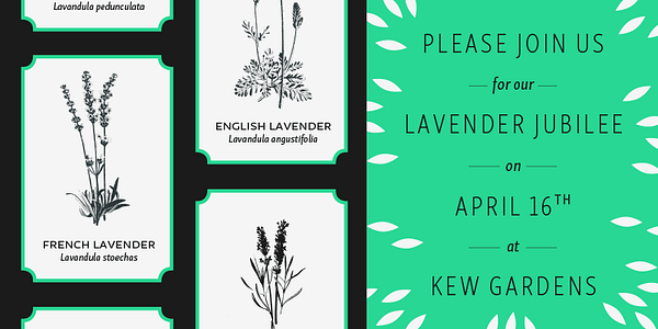 Card displaying Skolar Sans typeface in various styles