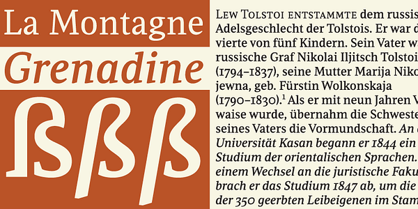 Card displaying Leo typeface in various styles