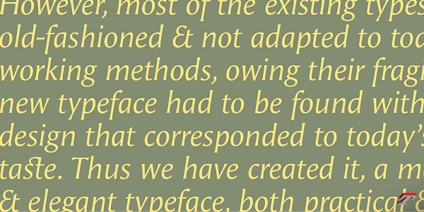 Card displaying Angie Sans typeface in various styles