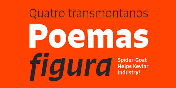 Card displaying Signo typeface in various styles