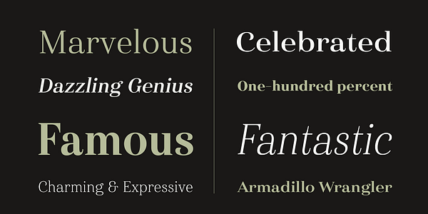 Card displaying Haboro typeface in various styles