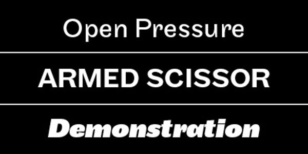 Card displaying Maple typeface in various styles