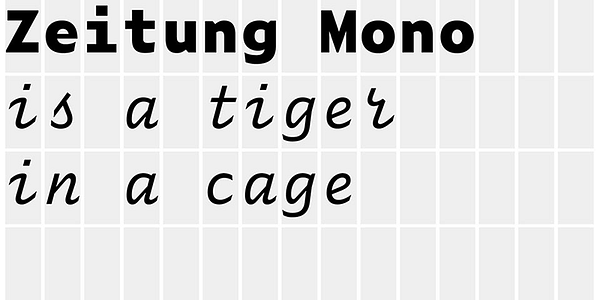 Card displaying Zeitung typeface in various styles