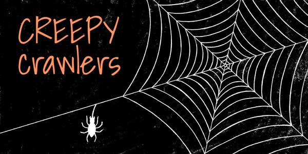 Card displaying Shadows Into Light typeface in various styles