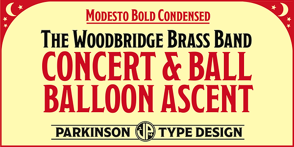 Card displaying Modesto typeface in various styles