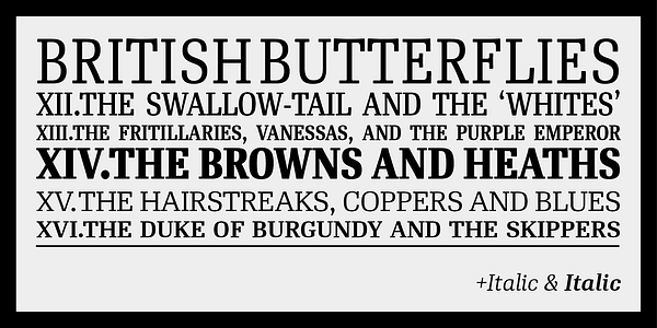 Card displaying RePublic typeface in various styles