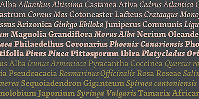 Card displaying Landa typeface in various styles