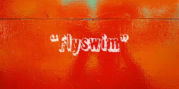 Card displaying Flyswim typeface in various styles
