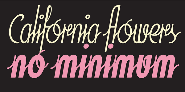 Card displaying Soda Script typeface in various styles