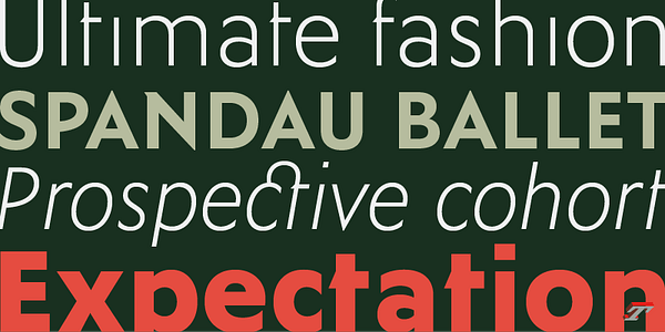 Card displaying Ysans typeface in various styles