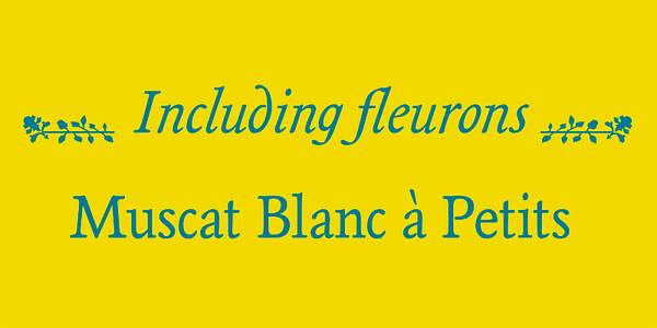 Card displaying Magpie typeface in various styles