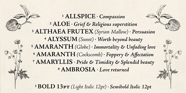 Card displaying Adobe Jenson typeface in various styles