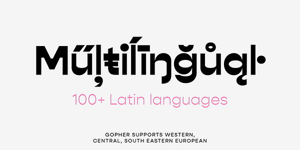 Card displaying Gopher typeface in various styles