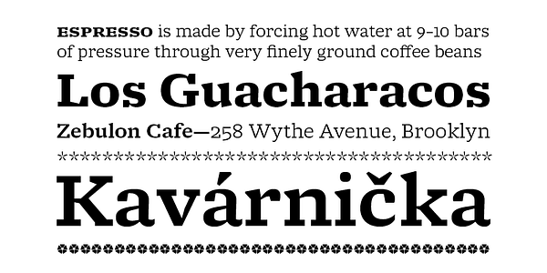 Card displaying Molto typeface in various styles