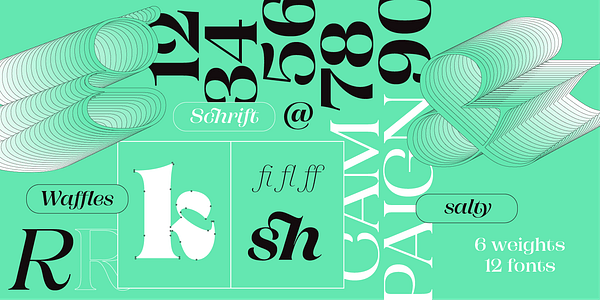 Card displaying Campaign Serif typeface in various styles