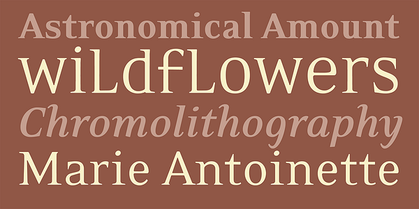 Card displaying Eidetic Neo typeface in various styles