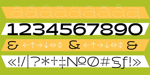 Card displaying Halogen typeface in various styles