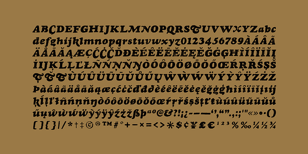 Card displaying Rinse typeface in various styles