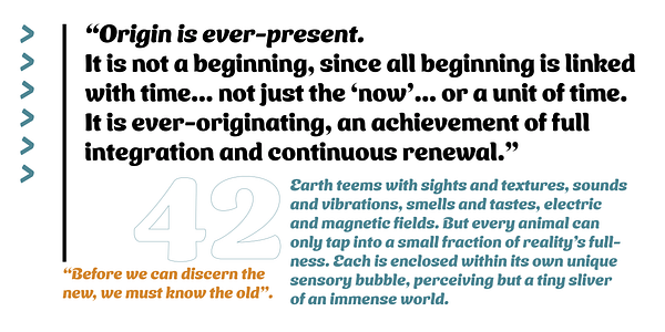 Card displaying Ice Cream typeface in various styles