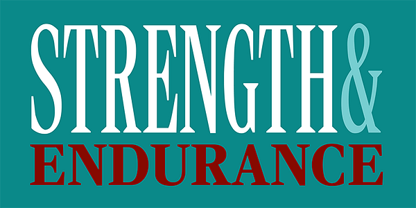 Ȯ_[Dpg] Card displaying Rocky typeface in various styles_Ȯ