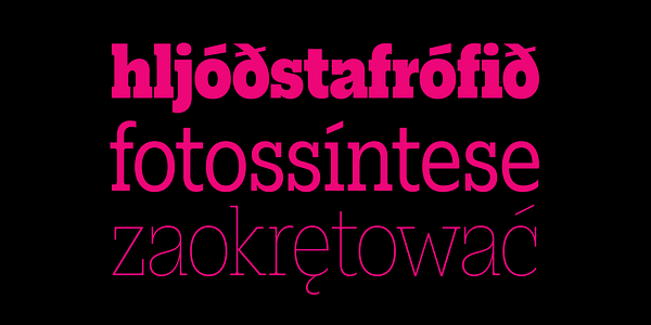 Card displaying Elizeth Condensed typeface in various styles