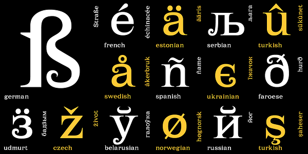 Card displaying Lehmann typeface in various styles