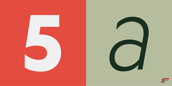 Card displaying Ysans typeface in various styles