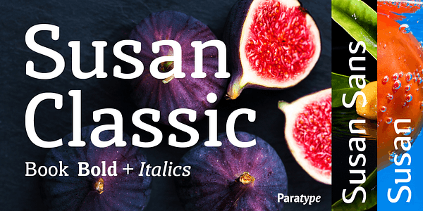 Card displaying Susan typeface in various styles